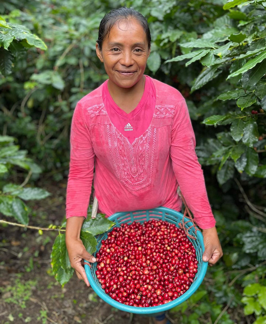 Love Anyway Coffee Honduras