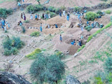 Afghanistan Earthquake Response