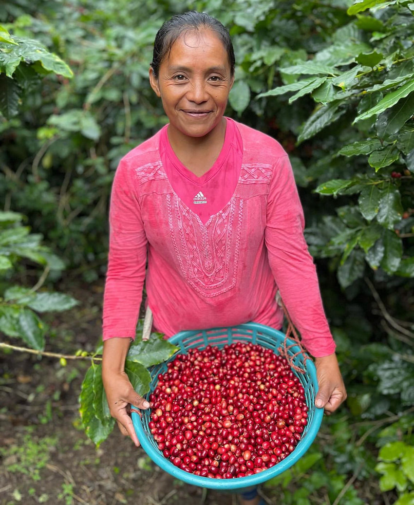 Love Anyway Coffee, Honduras