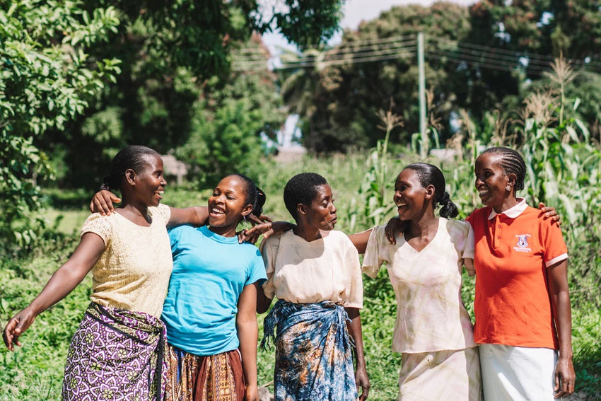 Henna Canvas and Leather Tote