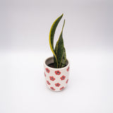 Red Poppy Ceramic Planter Pot