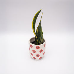 Red Poppy Ceramic Planter Pot