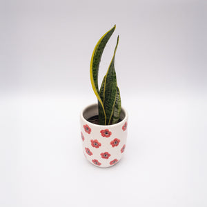 Red Poppy Ceramic Planter Pot
